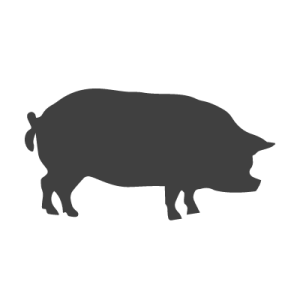 Pork